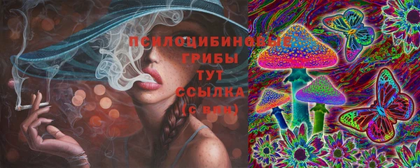 мдма Протвино