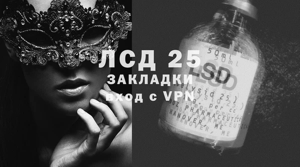 крисы Абаза