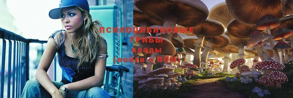 молекула духа Абинск