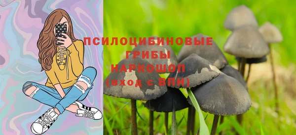 молекула духа Абинск