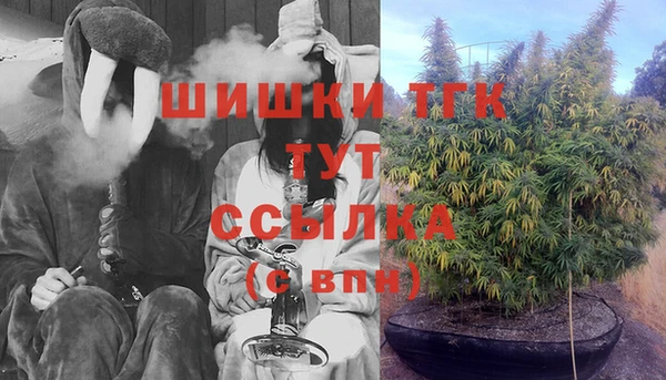 молекула духа Абинск