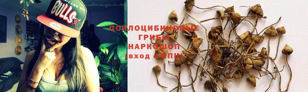 дистиллят марихуана Приозерск